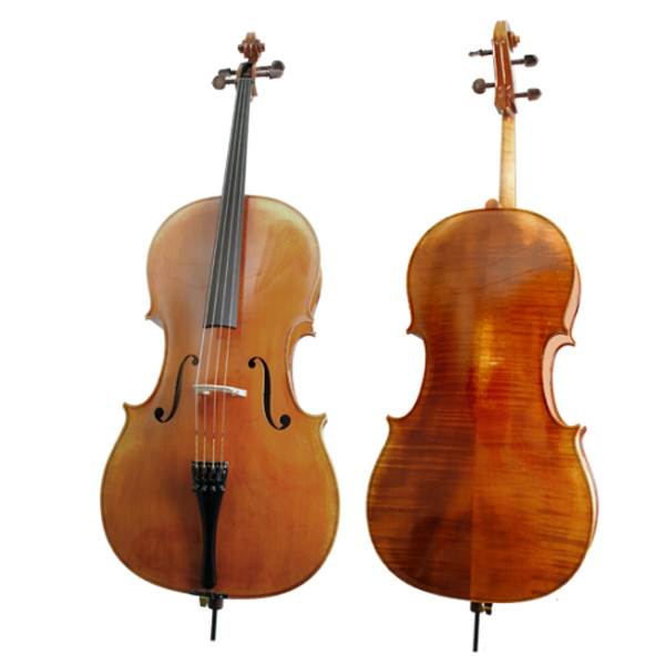 best cello on rent delhi
